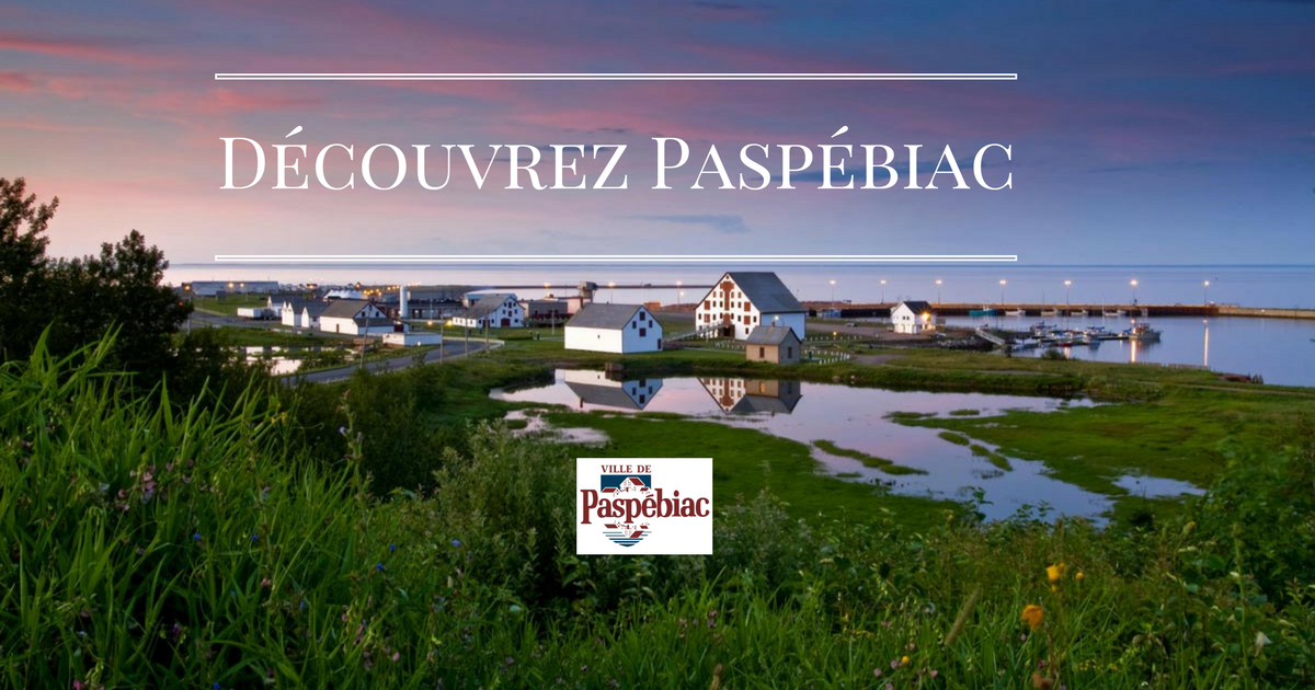 Politique culturelle