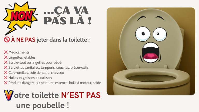 🚫🚽 NON… ÇA VA PAS LÀ ! Votre toilette n’est pas une poubelle