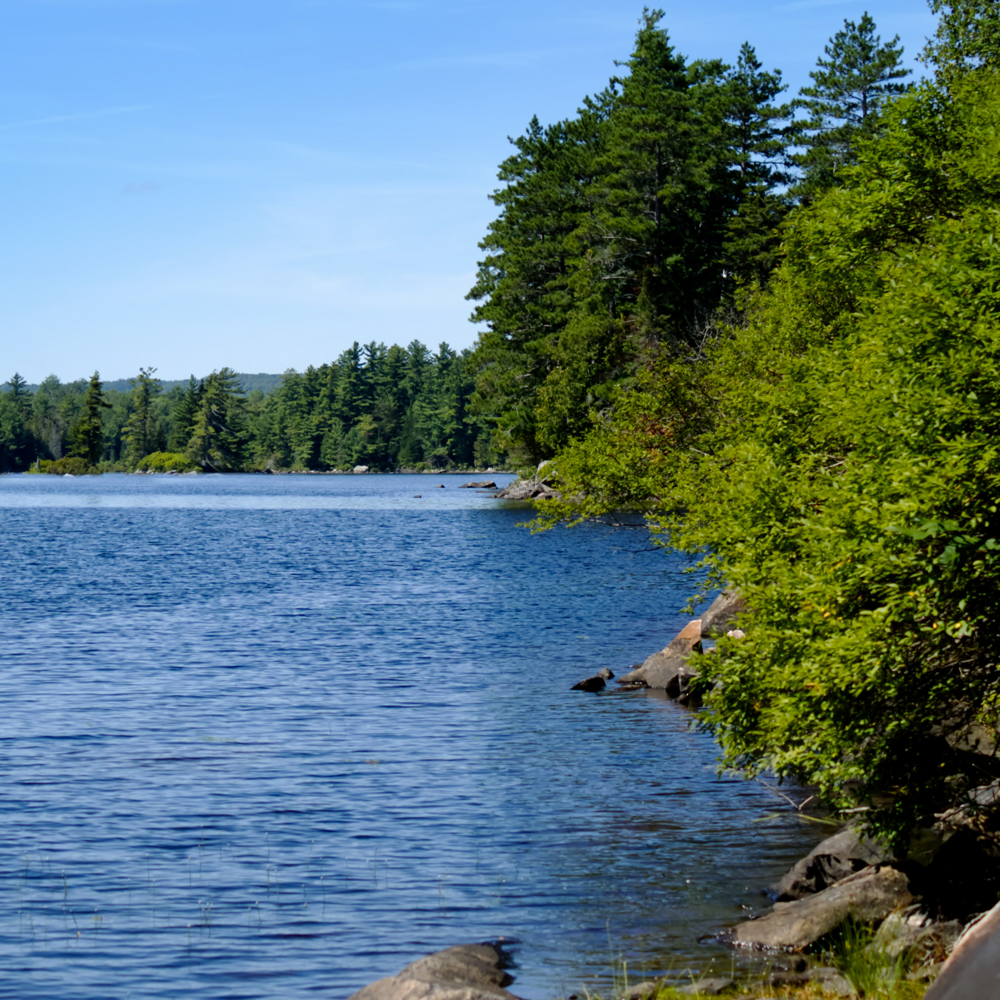 Préservons nos rives, protégeons nos lacs 🌿🐟🌳