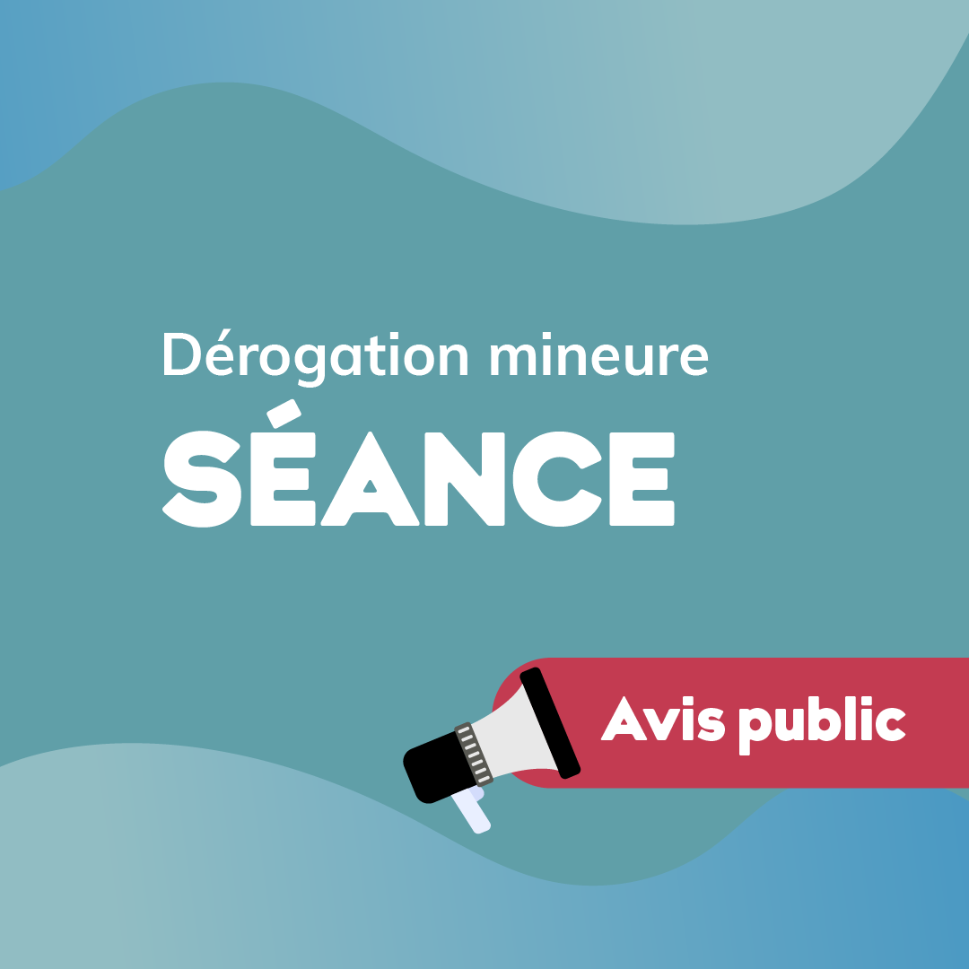 Séance du 19 mai 2026 – Dérogations mineures
