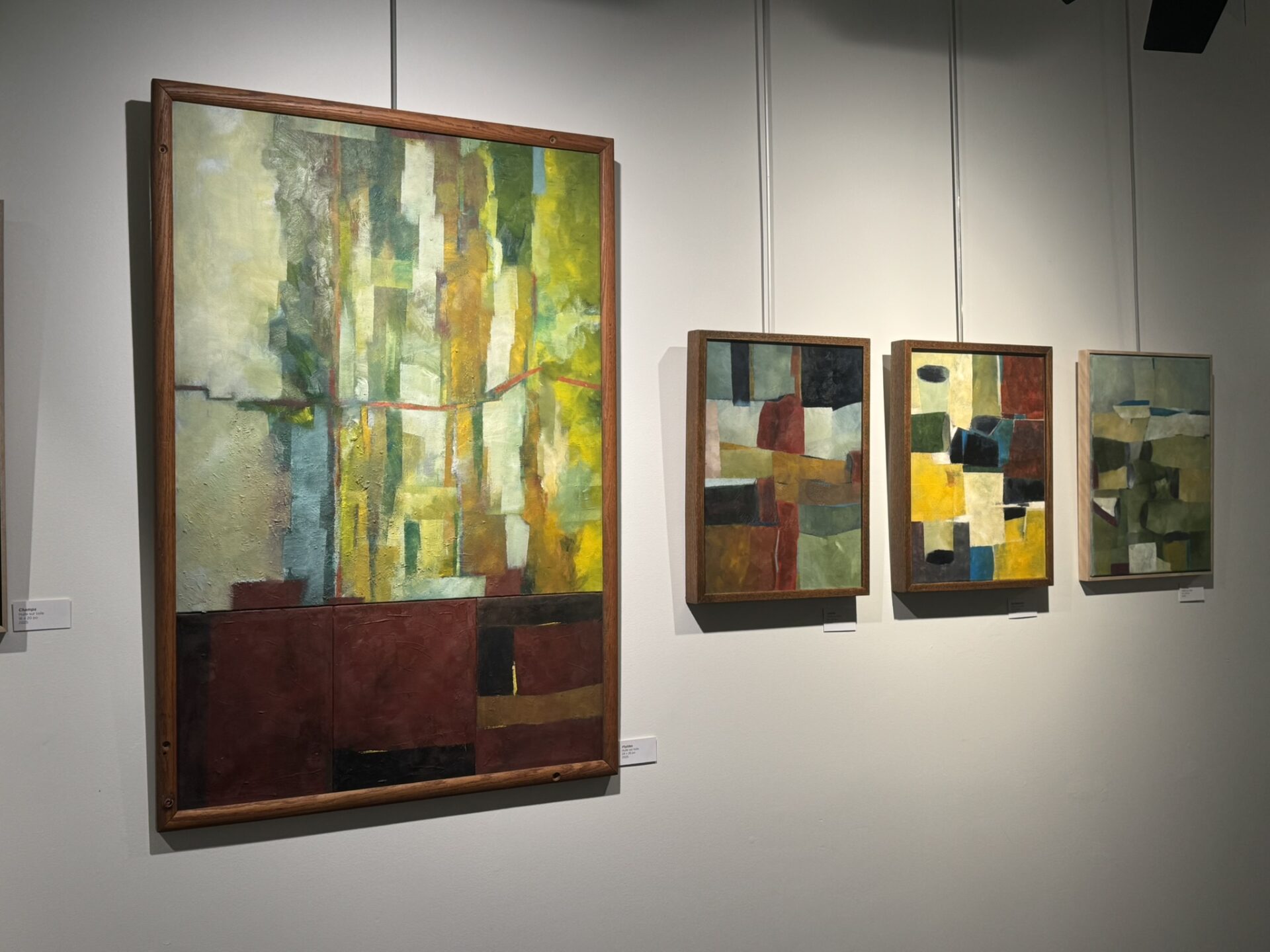 ASSEMBLAGE – Peinture et gravure, Céline Lapointe sera en exposition à la bibliothèque Laure-Conan