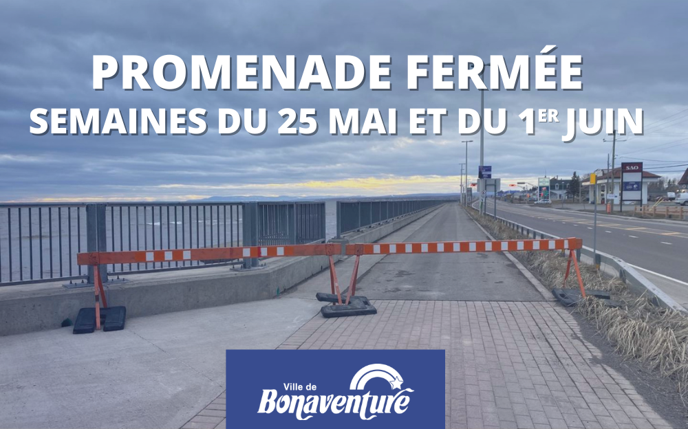 REMPLACEMENT DES LAMPADAIRES
